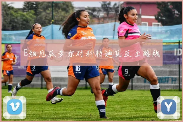 E组厄瓜多尔对科特迪瓦反击路线