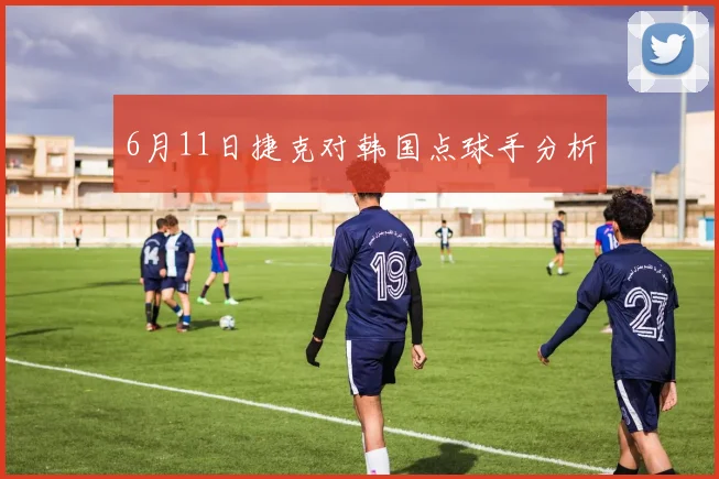 6月11日捷克对韩国点球手分析