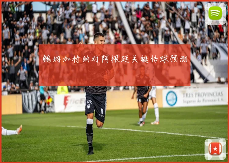 鲍姆加特纳对阿根廷关键传球预测