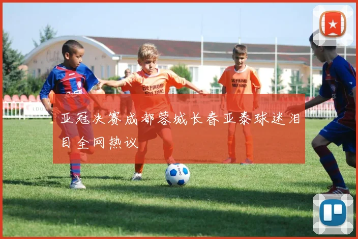 亚冠决赛成都蓉城长春亚泰球迷泪目全网热议
